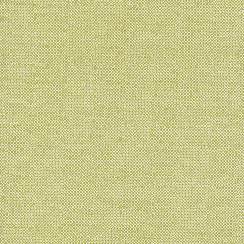 An open circle fabric swatch in olive.
