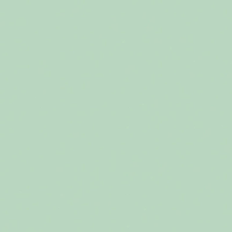 This solid flannel fabric features a sea foam green hue.