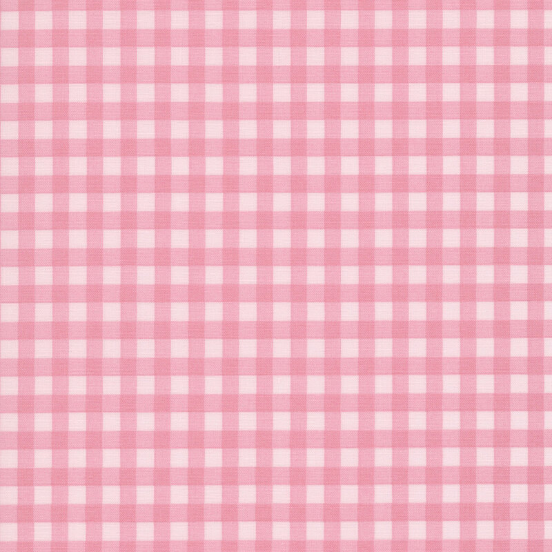A pink gingham pattern on a blush pink background