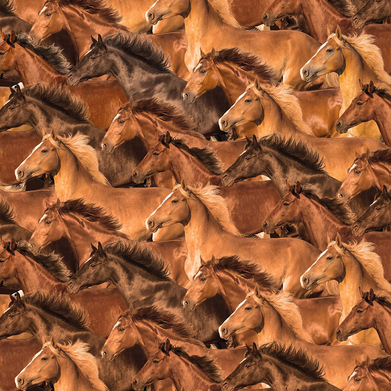A repeating collage of bay, espresso, chestnut, and blonde colored horses.