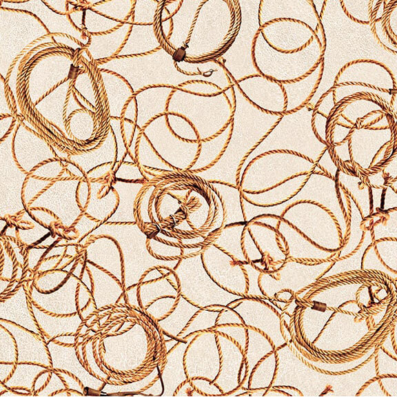 Image of looping western ropes on a beige background.