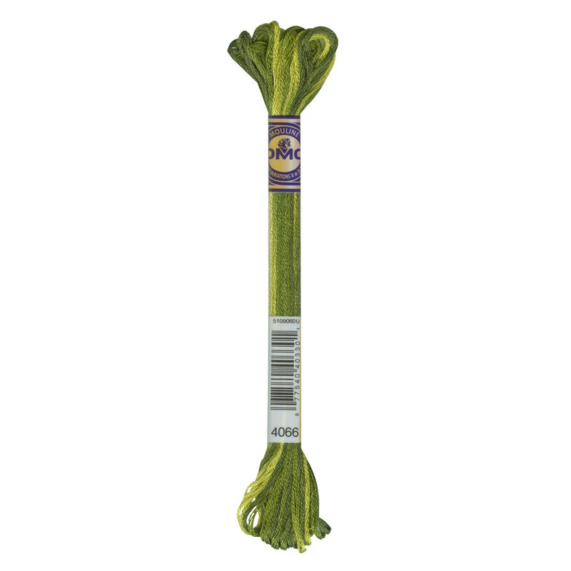 A skein of DMC 4066 Amazon Green Color Variations embroidery floss in its packaging.