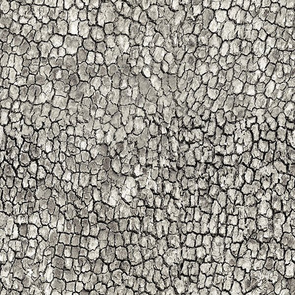 A fabric featuring a gray natural cracked pattern.