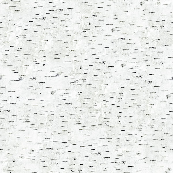 Light gray fabric with short horizontal stripes of black reminiscent of birch bark.