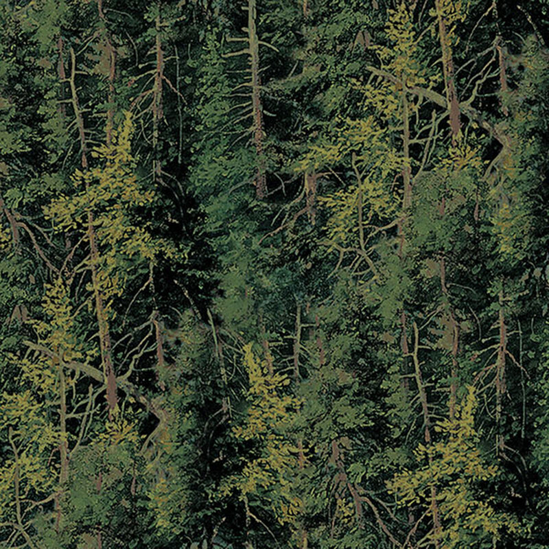 Birds-eye view of an evergreen tree forest.