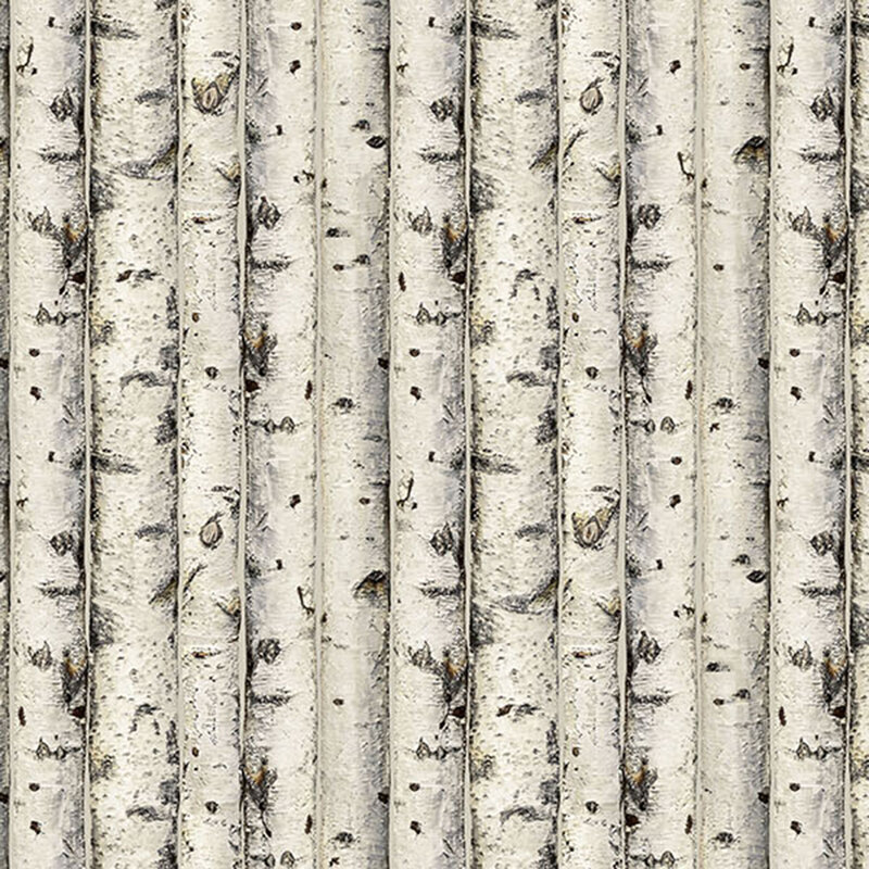 Packed fabric of birch tree trunks.