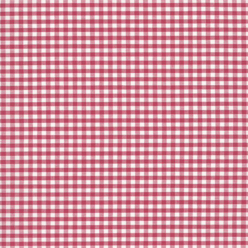 red and white gingham fabric