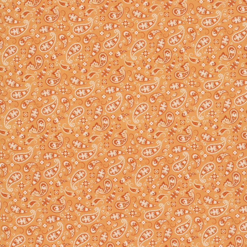 A orange fabric featuring a paisley design.