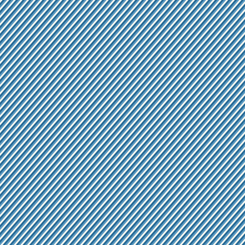 Blue and white diagonal striped fabric.