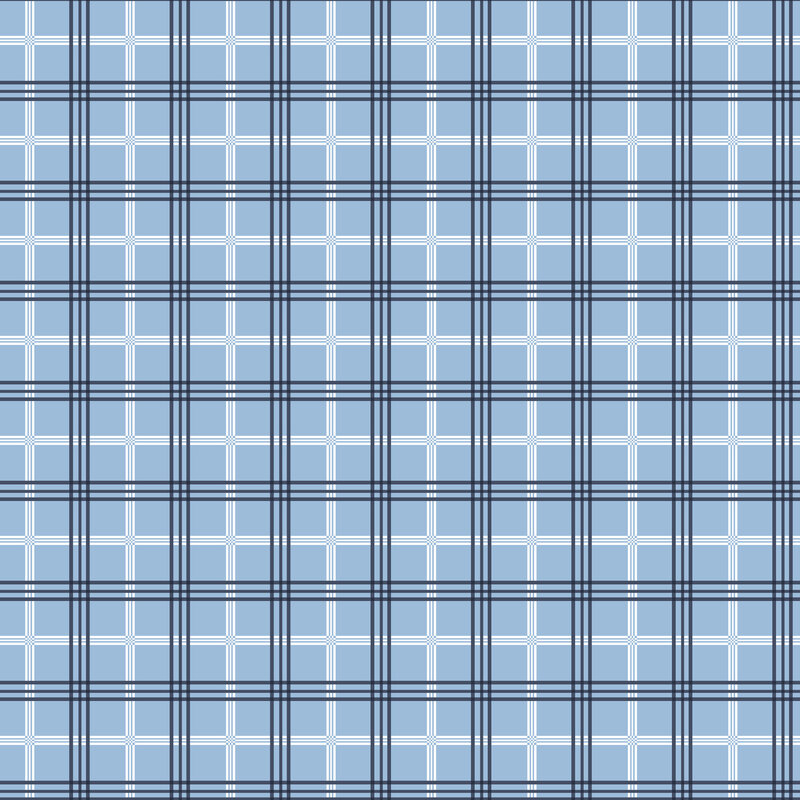 Light blue fabric with white and navy plaid design.