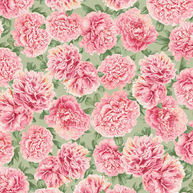 large pink peonies with green leaves tossed on a soft sage background