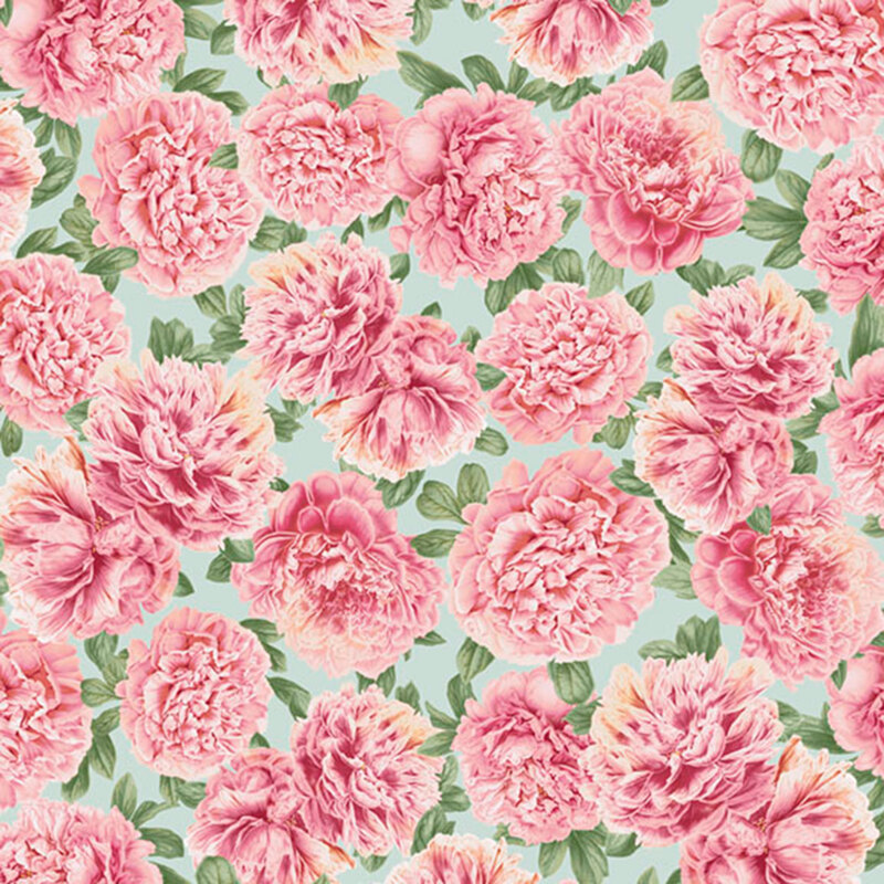 large pink peonies with green leaves tossed on a pale aqua background