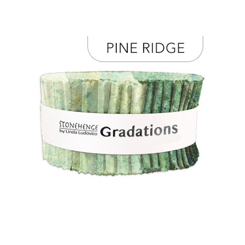 Stonehenge - Gradations 2.5" Strips Pine Ridge, isolated on a white background. 