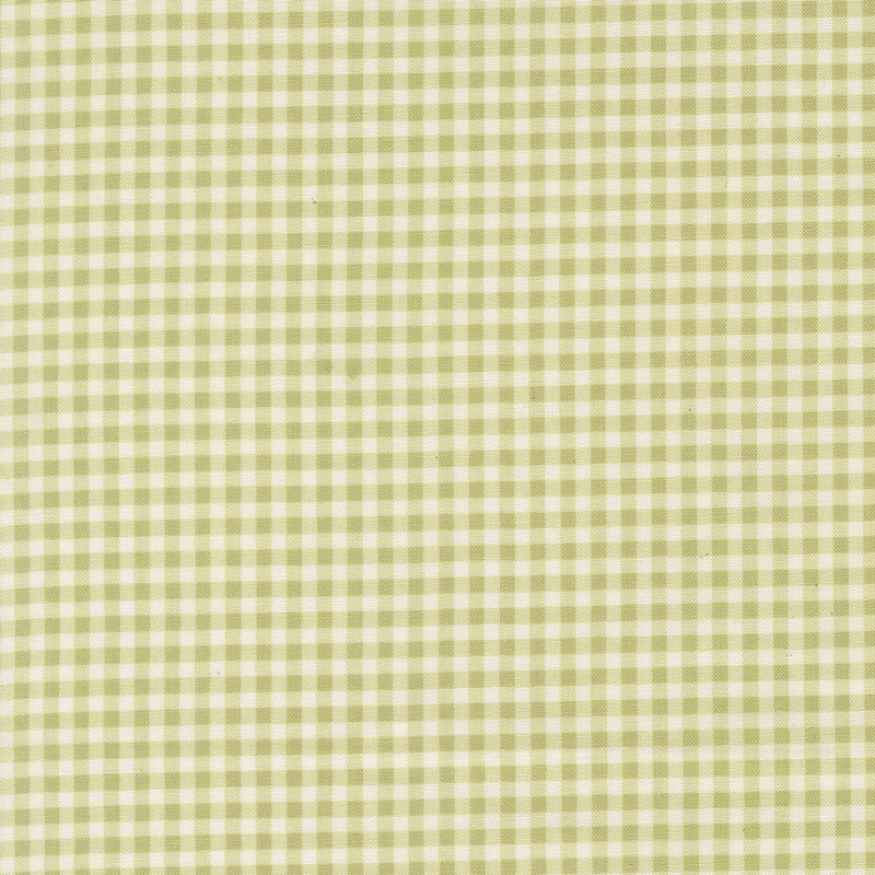 A swatch of a spring green and white gingham fabric. 