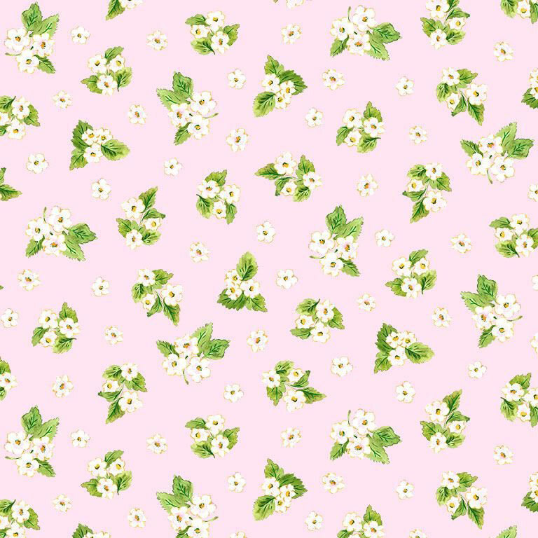 white and yellow floral blossoms and green leaves on a pale pink background.