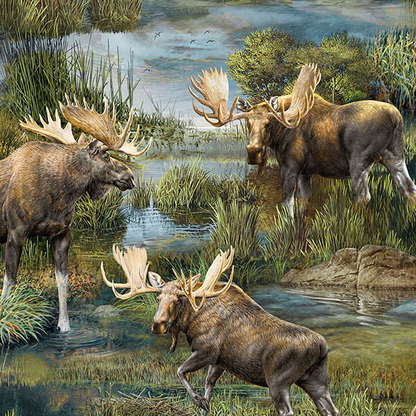 Fabric with many scenes of moose treading through marshes and forests.