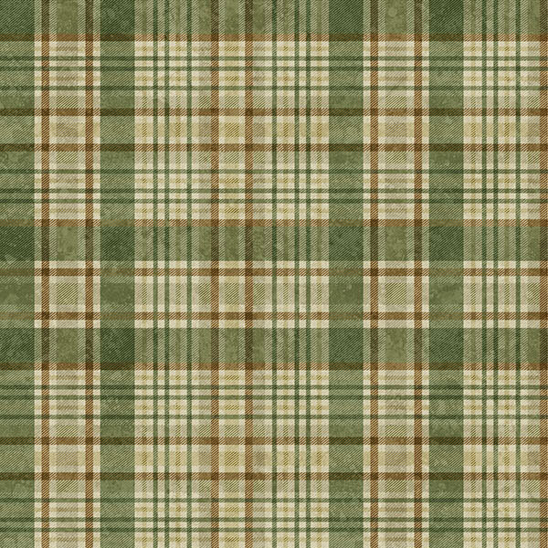 Mottled fabric with a plaid design of dark sage green, tan, and brown stripes.