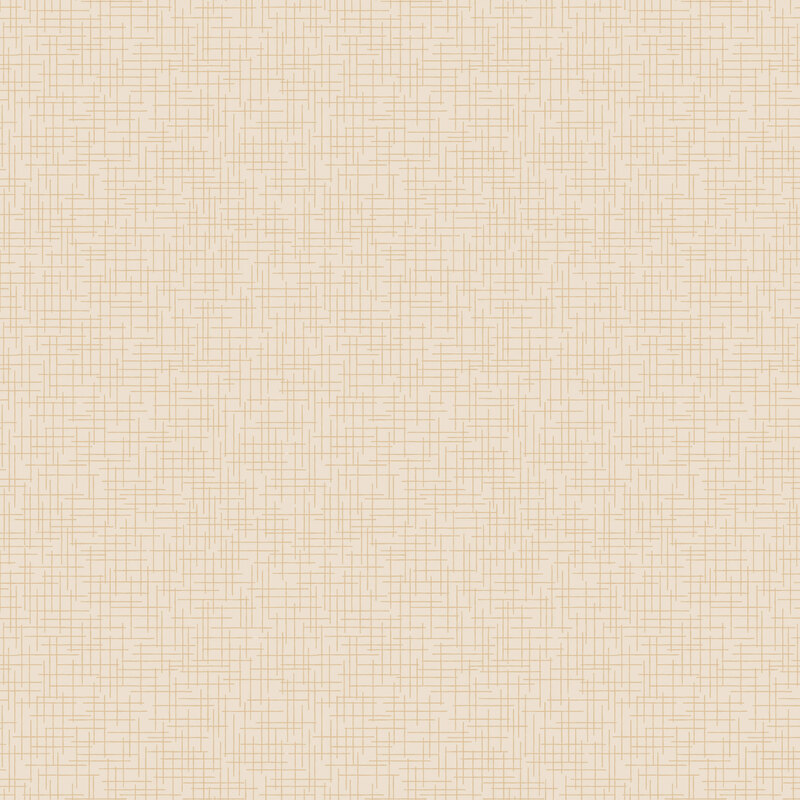 tonal crosshatch pattern of fine, irregular lines across a cream background.