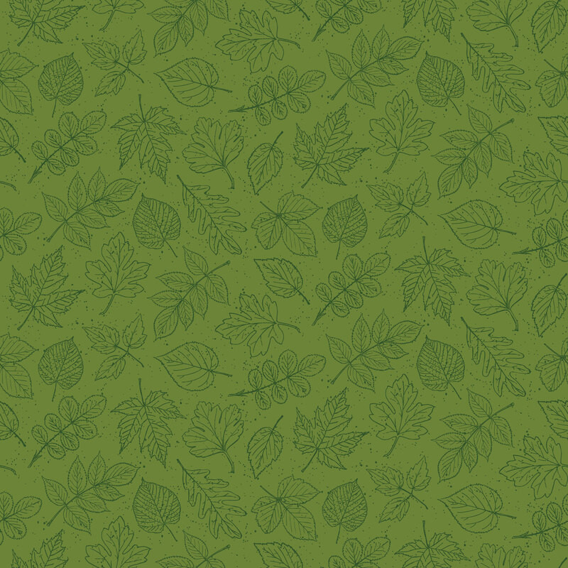 tonal outlines of assorted autumn leaves scattered across a grass green background.