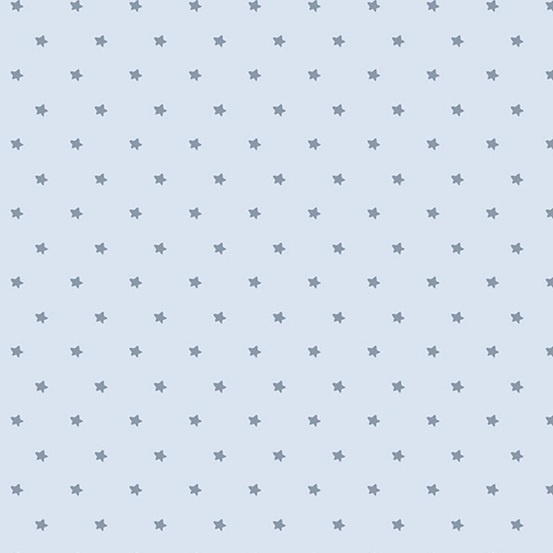 A light blue fabric with small gray-blue stars arranged in evenly spaced rows.
