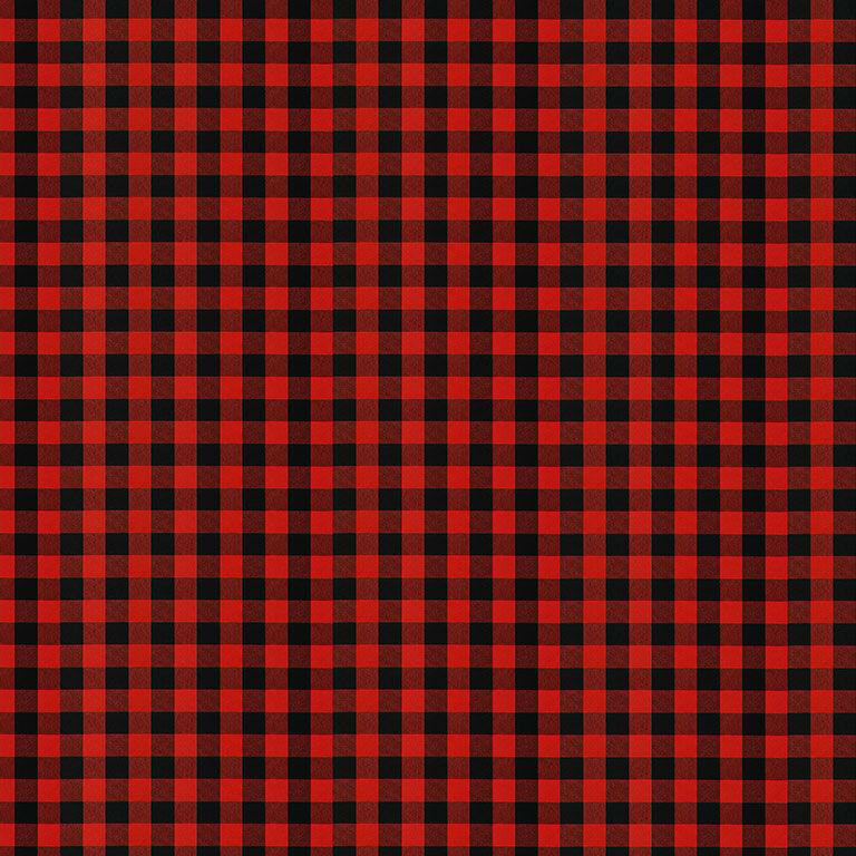 Red and black buffalo check fabric.