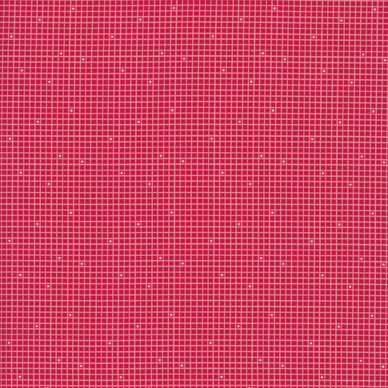 soft white grid with scattered dots on a rose red background.