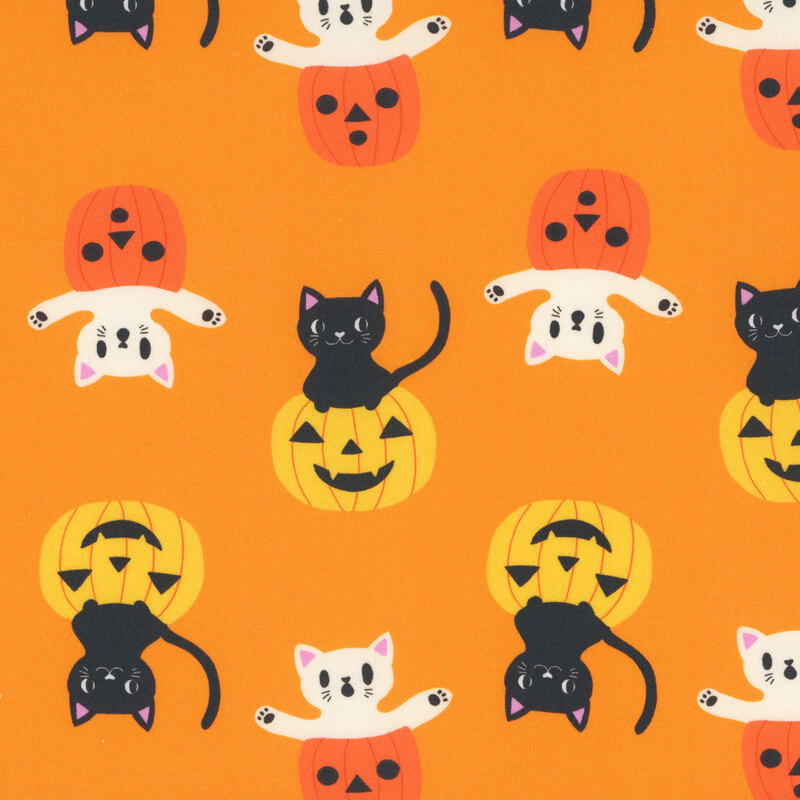 A light orange fabric with black and white cats peeking out of orange and yellow jack-o'-lanterns.