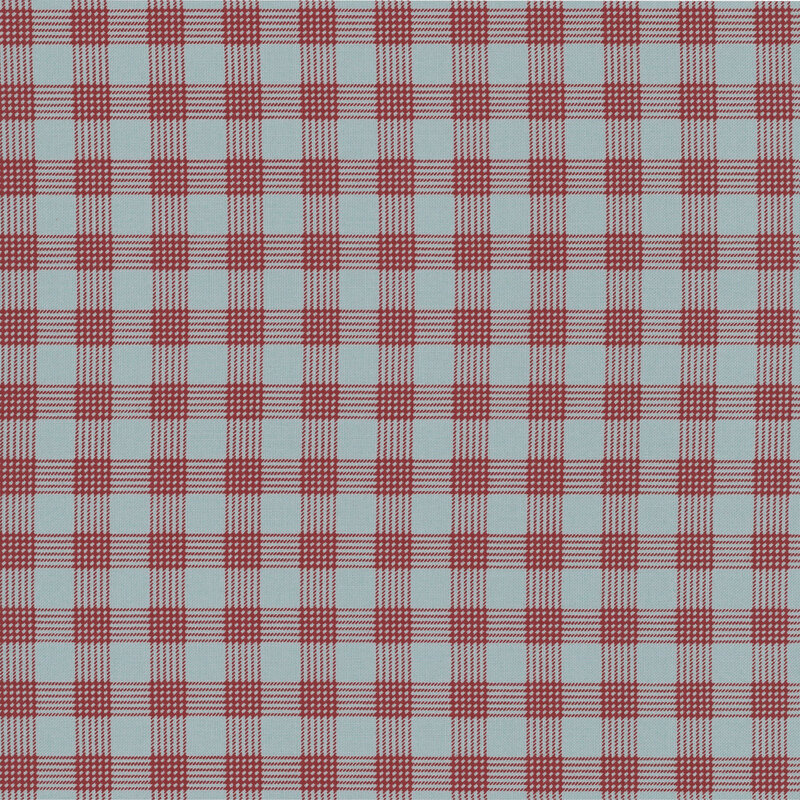 Blue fabric with a classic red gingham pattern.