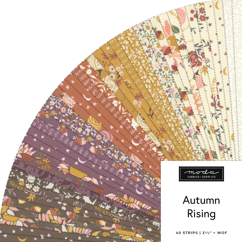 Fanned of cream, gold, orange, purple, and brown autumn-themed fabrics from the Autumn Rising collection
