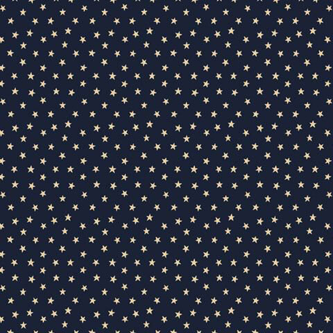 Navy fabric with a scattered design of small light tan stars.