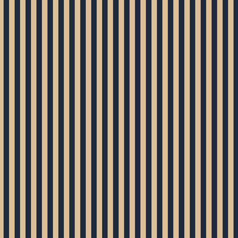 Fabric with alternating, balanced tan and indigo stripes.