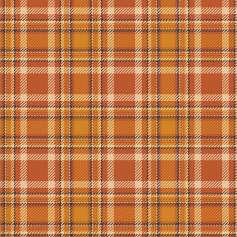 A swatch of orange plaid fabric.