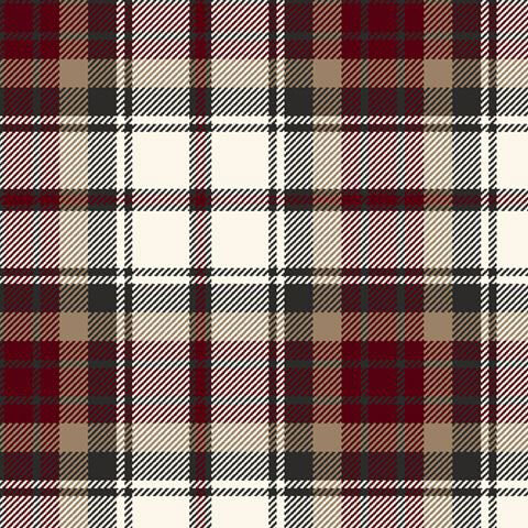 A swatch of white, red, and green plaid fabric. 