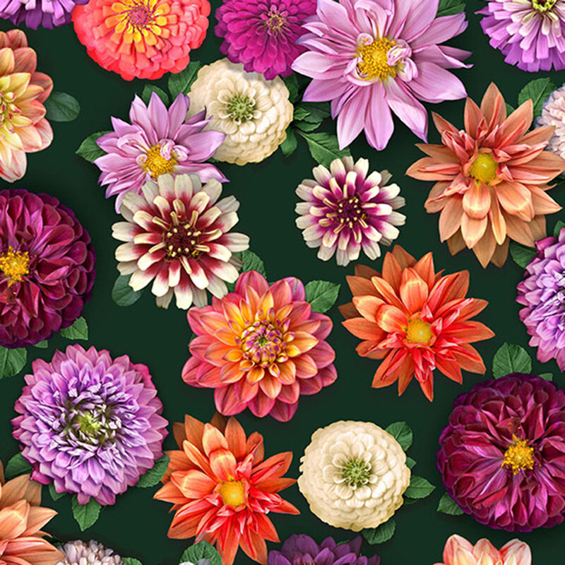 A forest green fabric with scattered Dahlias and zinnias.