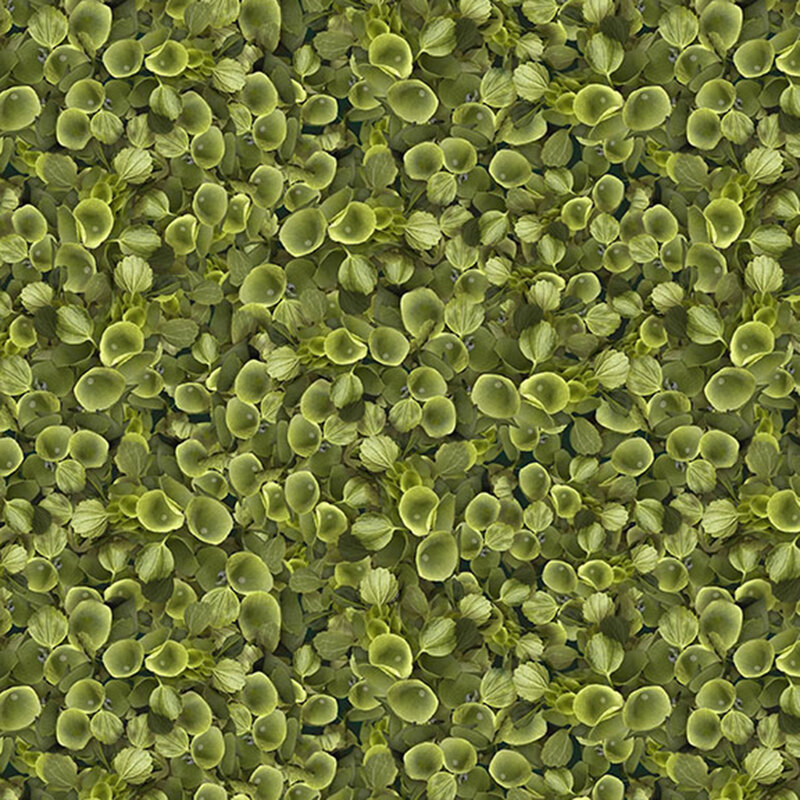 A green fabric with packed Bells of Ireland.