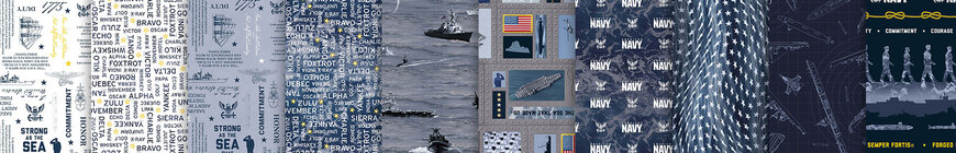go to U.S. Navy