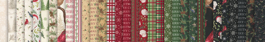go to Snowy St. Nick